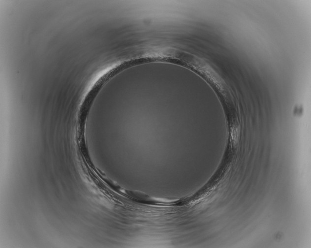 X0000091940724200709051522