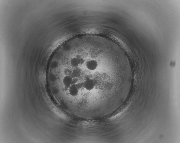 X0000091940725200709051522