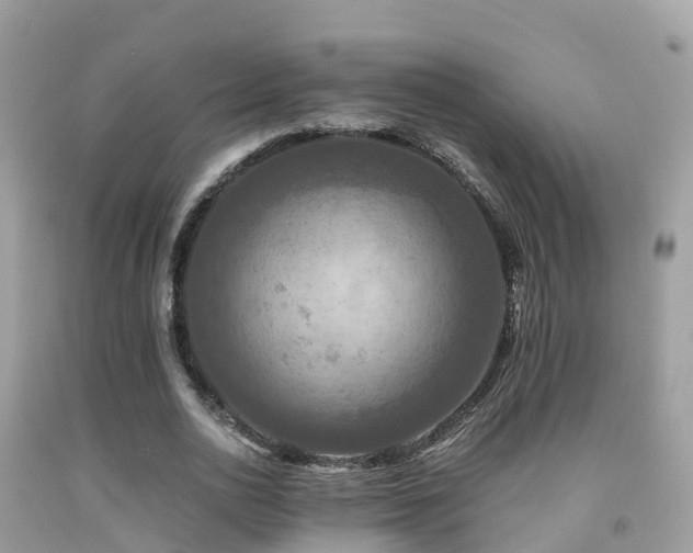 X0000091940726200709051522