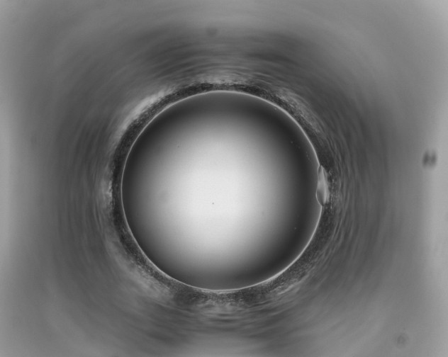 X0000091940727200709051522