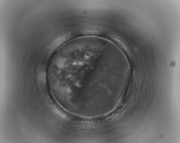 X0000091940729200709051522