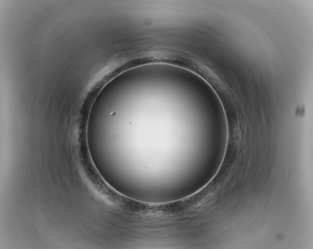 X0000091940730200709051522