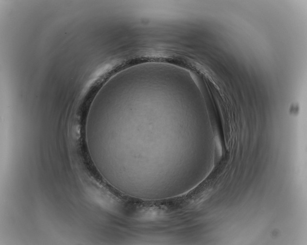 X0000091940731200709051522