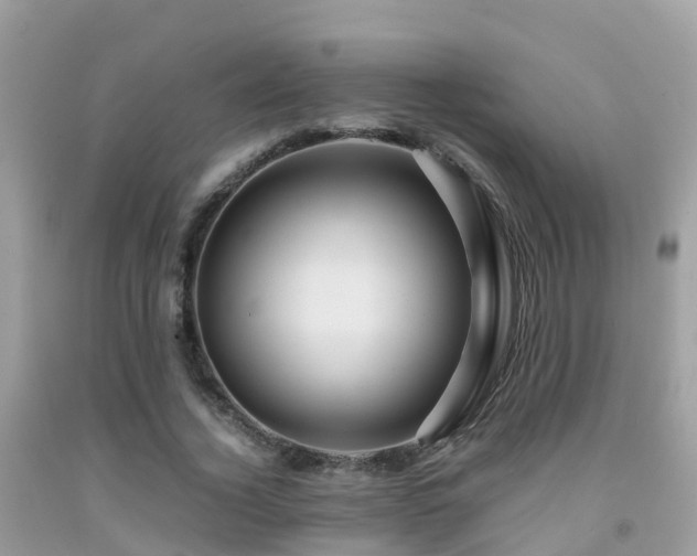 X0000091940732200709051522