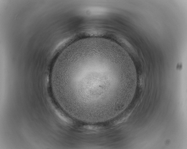 X0000091940733200709051522