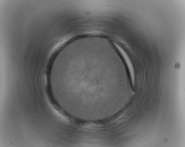 X0000091940734200709051522