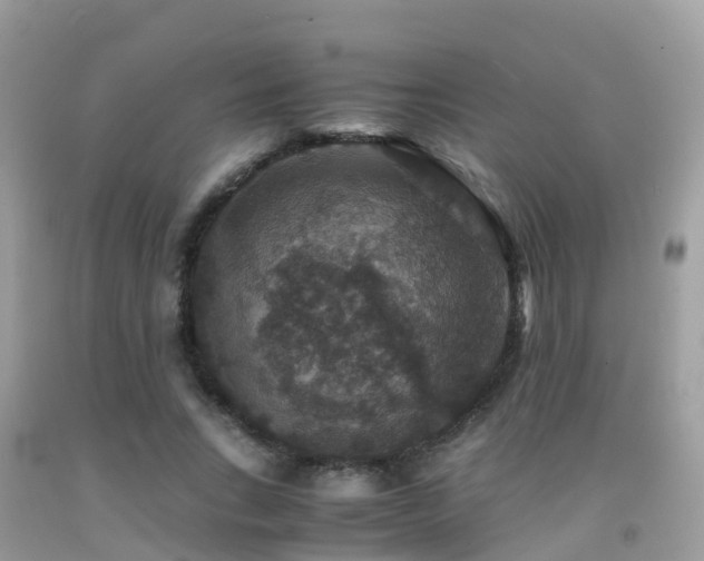 X0000091940735200709051522