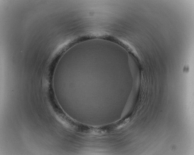 X0000091940736200709051522