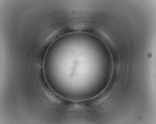 X0000091940737200709051522