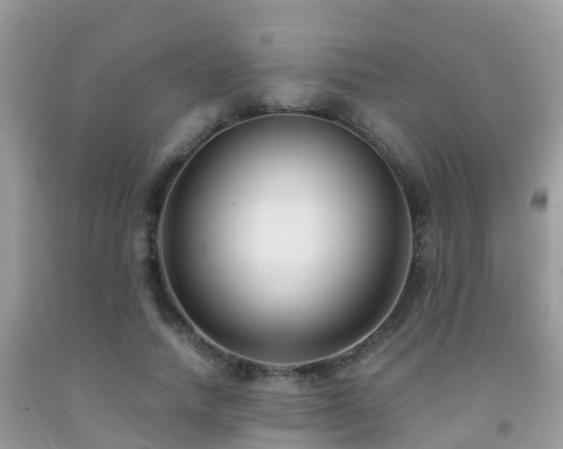 X0000091940738200709051522