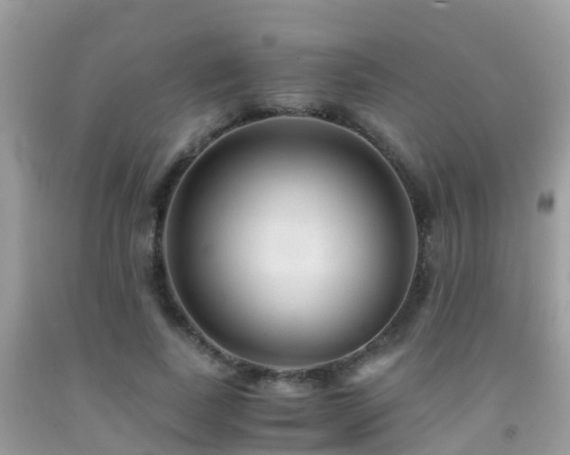 X0000091940739200709051522