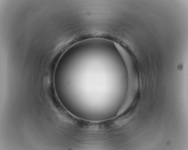 X0000091940740200709051522