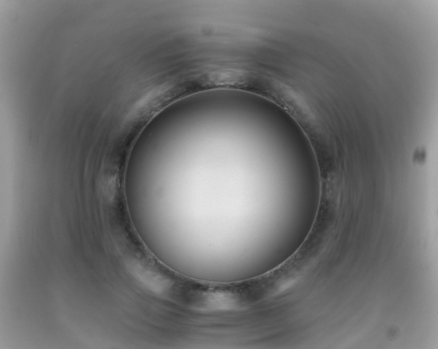 X0000091940741200709051522