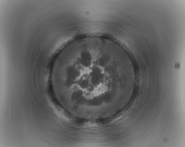 X0000091940742200709051522