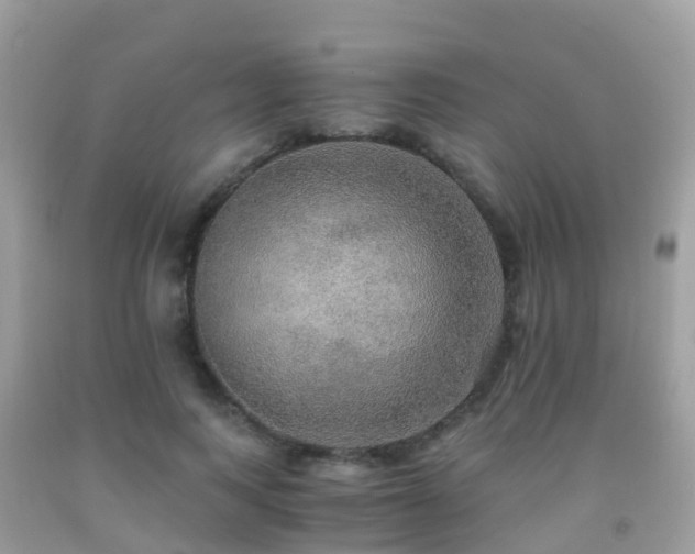 X0000091940743200709051522