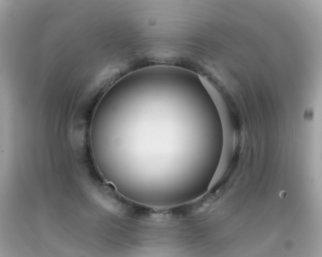 X0000091940744200709051522