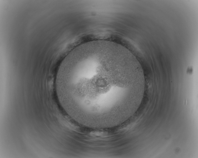 X0000091940745200709051522