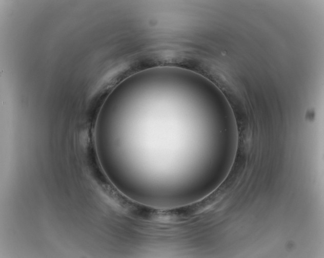 X0000091940746200709051522