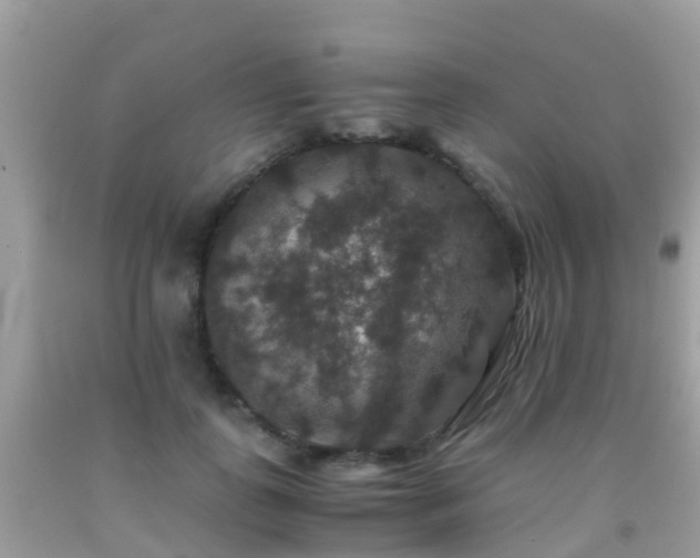 X0000091940747200709051522