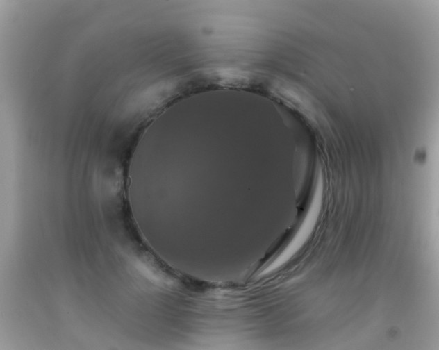 X0000091940748200709051522