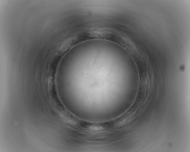 X0000091940749200709051522