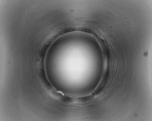 X0000091940750200709051522