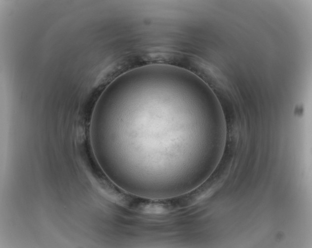 X0000091940751200709051522