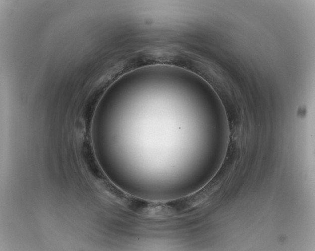 X0000091940752200709051522