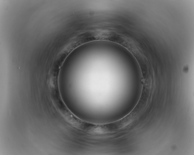 X0000091940755200709051522