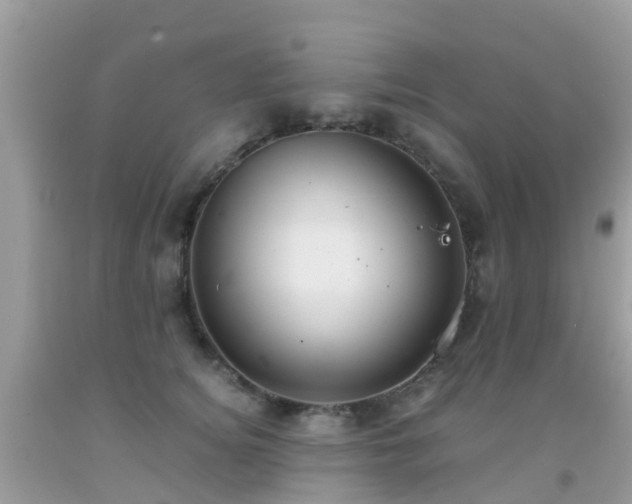 X0000091940756200709051522