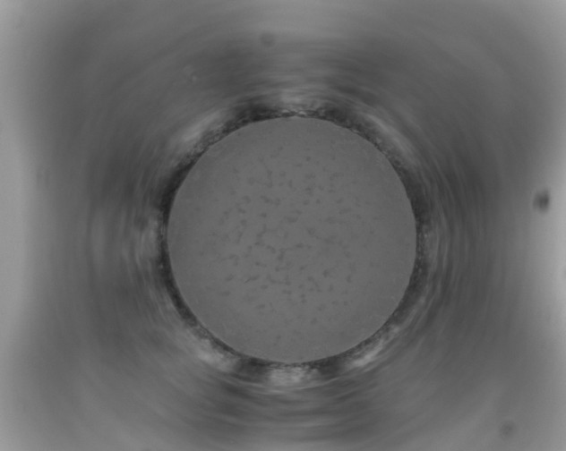 X0000091940757200709051522