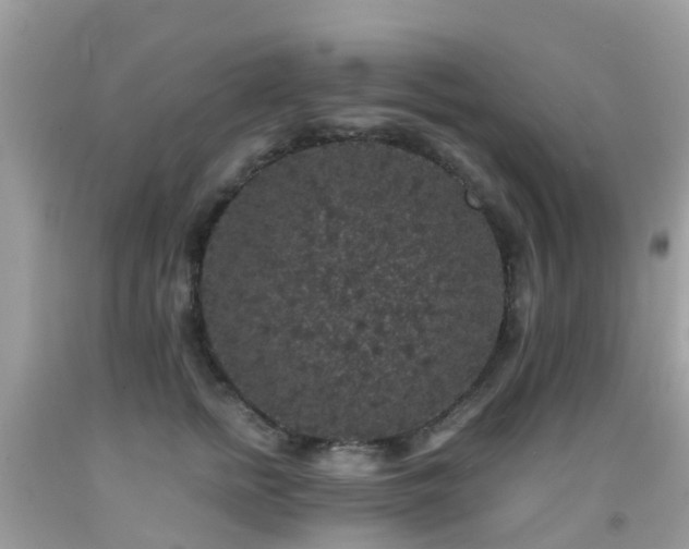 X0000091940758200709051522