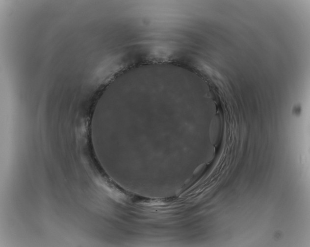 X0000091940759200709051522