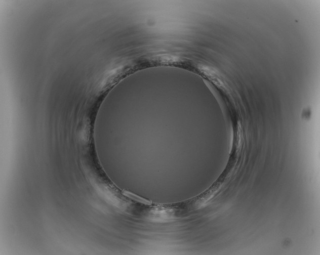 X0000091940760200709051522