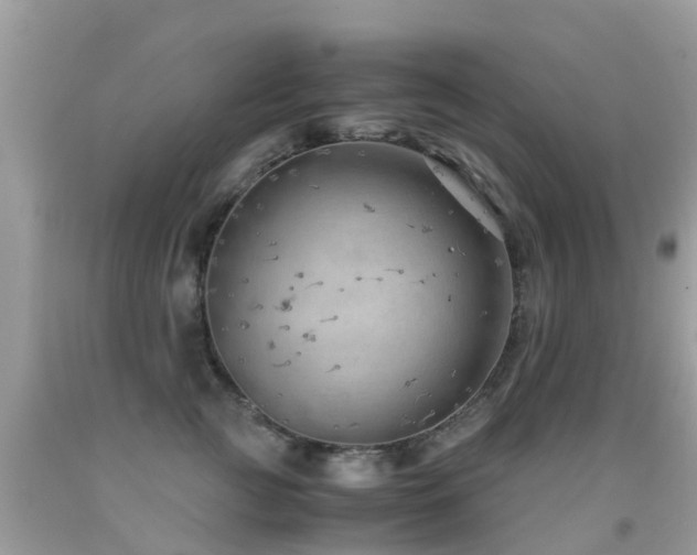 X0000091940761200709051522