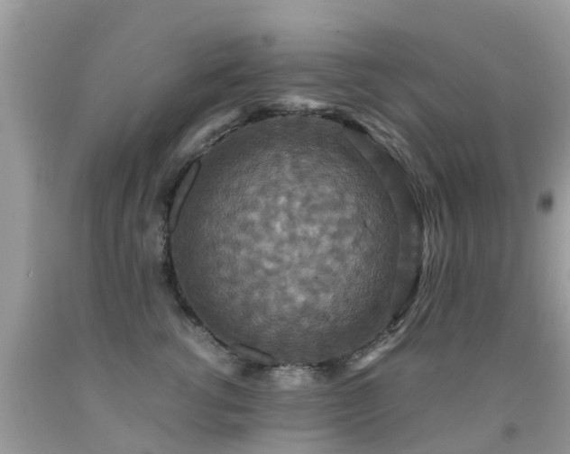 X0000091940762200709051522