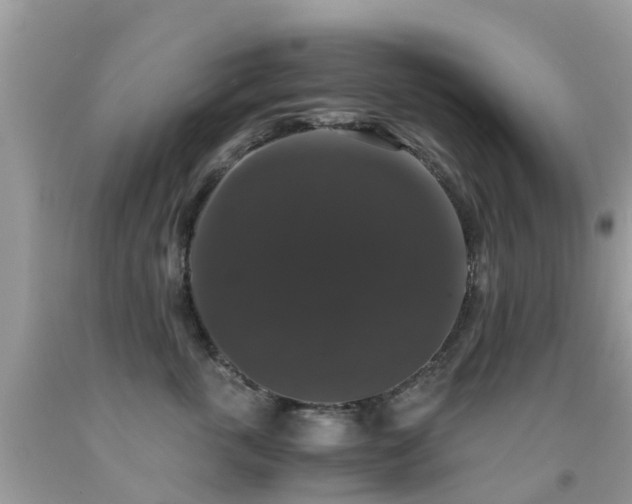 X0000091940763200709051522