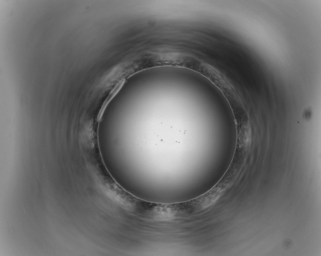 X0000091940764200709051522