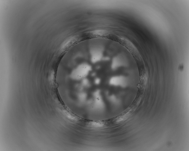 X0000091940765200709051522