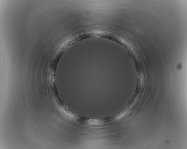 X0000091940766200709051522