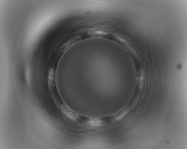 X0000091940767200709051522