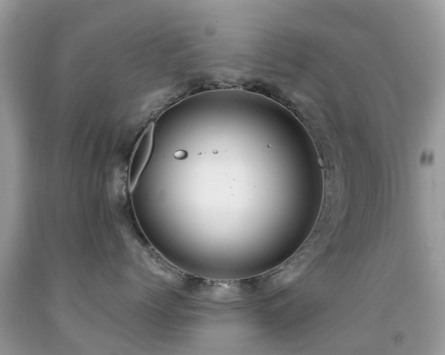 X0000091940768200709051522