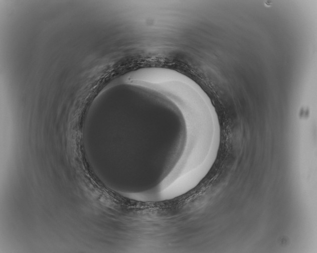 X0000091940769200709051522