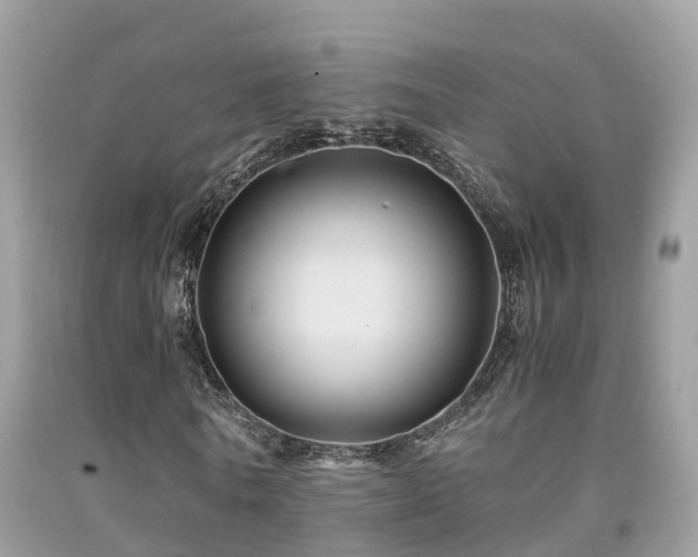 X0000091940770200709051522