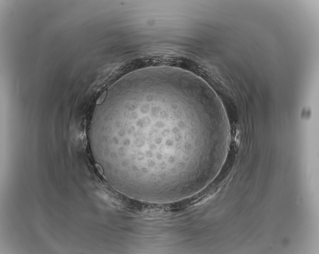 X0000091940771200709051522