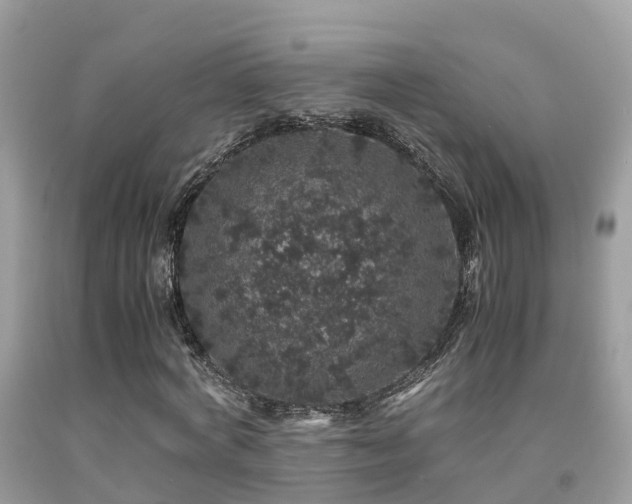 X0000091940772200709051522