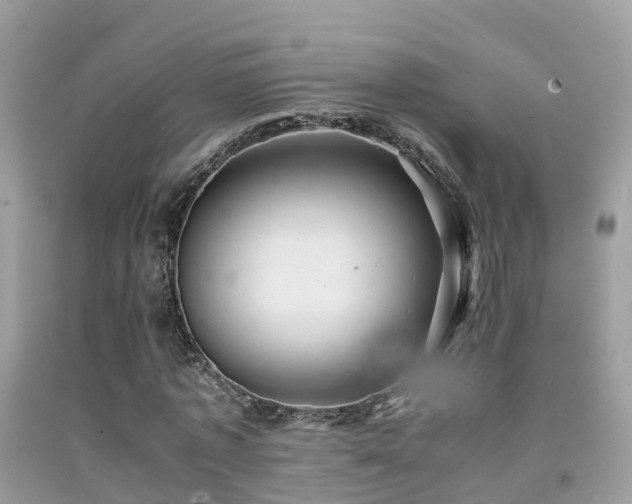 X0000091940773200709051522