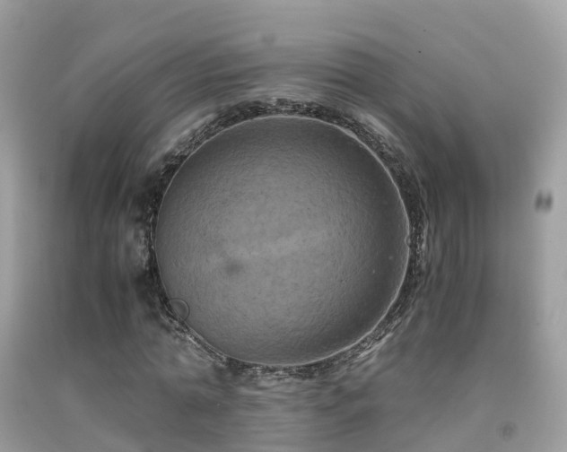 X0000091940774200709051522