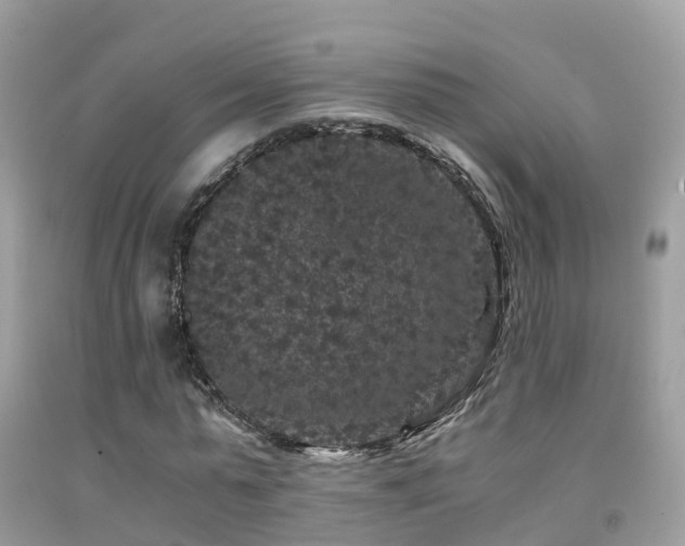 X0000091940775200709051522