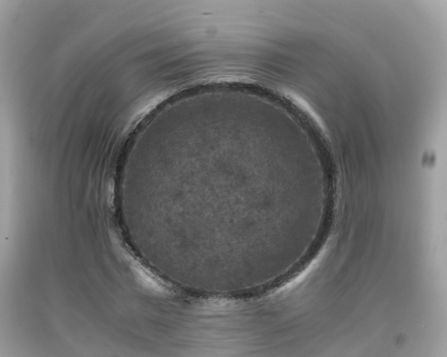 X0000091940777200709051522